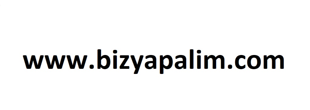 bizyapalim.com